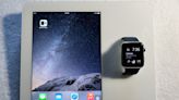 Check Out This Apple Watch iPad Demo Unit From 2014