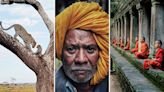 Leopardos, Oompa loompas y monjes budistas: Lo mejor de los iPhone Photography Awards 2024