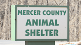 Mercer County Animal Shelter at capacity, desperately need food