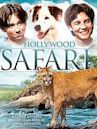 Hollywood Safari