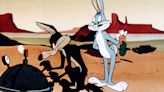 Congressman Slams Warner Bros. for Canceling ‘Coyote vs. Acme,’ Calls for Federal Investigation