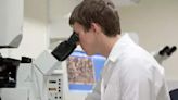 Study finds key steps in stem cell therapy for rare bowel disease - ET HealthWorld