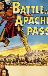 The Battle at Apache Pass