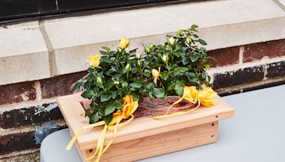 Two-Tool Project: Build a Cedar Planter