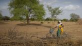 Afrique : Derrière la vague de chaleur si meurtrière au Sahel, un changement climatique « d’origine humaine »