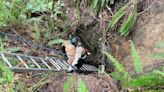 Firefighters rescue dog from abandoned mine in Pierce County