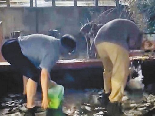 雨彈強襲高雄！中山大學傳水災 學生看傻「男宿舍變水上樂園」