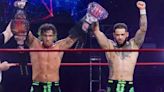 WWE quiere contar con un conocido tag team de TNA