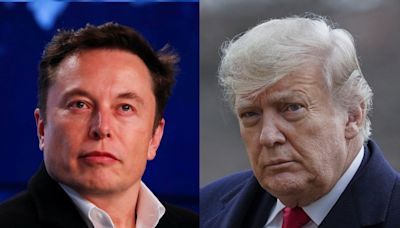 Elecciones en Estados Unidos: Elon Musk aportará 45 millones de dólares por mes para la campaña de Donald Trump