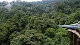 All aboard for the Western Ghats