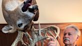 Hunting with Dad leads Iowa City taxidermist to top of his profession