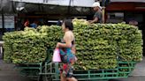 Philippine banana growers plead for Japanese consumers to bear price hikes