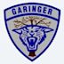 Garinger High School