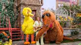 Brandi Carlile Visits ‘Sesame Street’ to Sing About ‘Nature, Naturally’