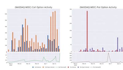 Looking At Western Digital's Recent Unusual Options Activity