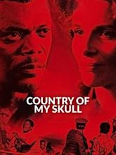 In My Country (2004 film)