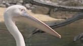 Students learn about weather and wild life at the Maryland Zoo