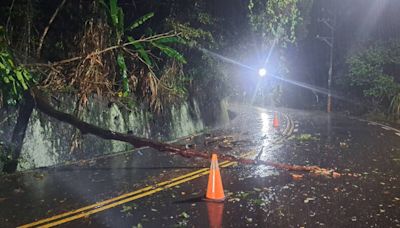 台中太平山區大雨 長龍路4段樹倒險壓車、里長幫鋸樹