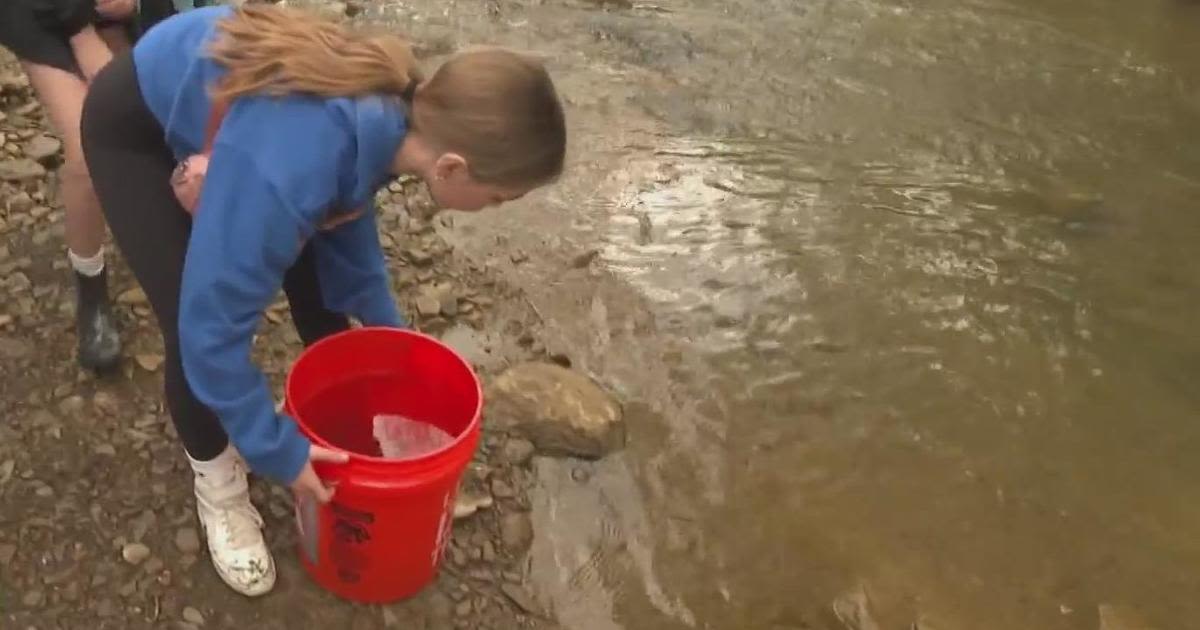 Pittsburgh-area elementary students release trout they raised from eggs