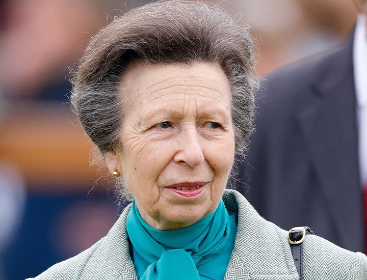 Royal Family Releases Striking Photo of Princess Anne Standing Alone While Receiving Huge Honor