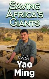 Saving Africa's Giants With Yao Ming