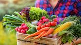 Gemüse retten: Drei leckere Rezepte für Frühling und Sommer