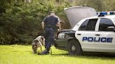 Police Dog Helps Find Missing Toddler in Florida