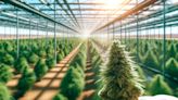 $514M Tax Breaks Await This Marijuana Company With Rescheduling, Market Cap Set To Soar - Jushi Holdings (OTC:JUSHF)