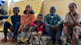 Resilience and recovery: Tigray emerges from the shadows of war but famine looms