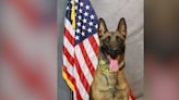 K-9 deputy dies from medical emergency months after joining sheriff’s office