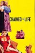 Chained for Life (1952 film)