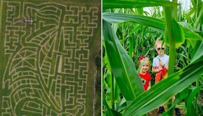 Maze challenge takes on nautical theme