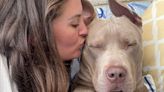 XL Bully owner defends breed and says banning them ‘won’t work’