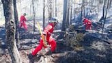 How climate change factored into Nova Scotia’s wildfires