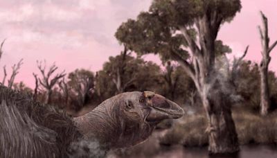澳洲史前「巨鵝」真身終現！驚人頭骨化石解開滅絕之謎