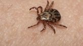 Preventing your risk for tick-borne illness, like Lyme disease