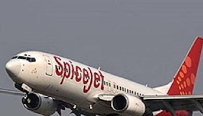 SpiceJet Q4 Results: Net Profit Surges Six-Fold to Rs 119 Crore, FY24 Loss Narrows By 73% - News18