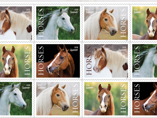 Belmont County woman's photos to be featured on US Postal stamps