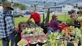 Gates Cactus and Succulent Society to hold annual show and sale in Redlands