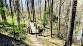 Visiting Violet and Louis Calli Nature Preserve in Jennings County