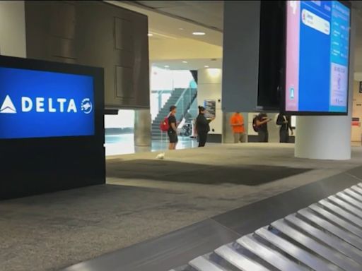 Delta Airlines investigation: Here's what to do if you have a flight booked
