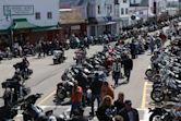 Wharf Rat Rally