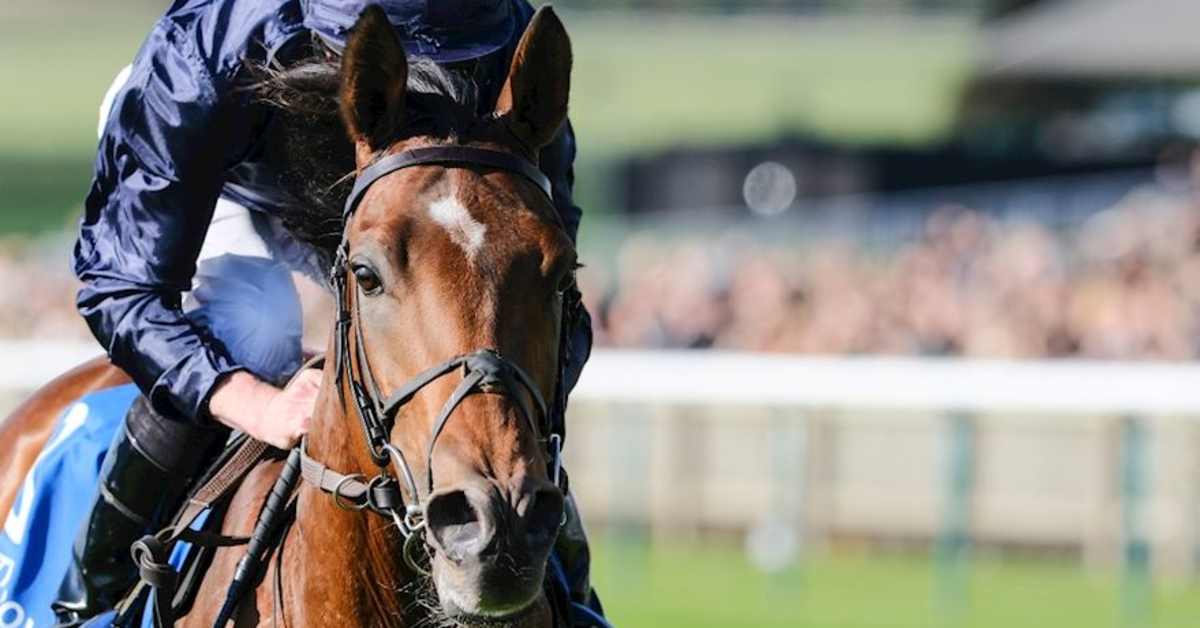 Epsom Derby: Aidan O'Brien Retains Confidence In City Of Troy Despite 2,000 Guineas Flop