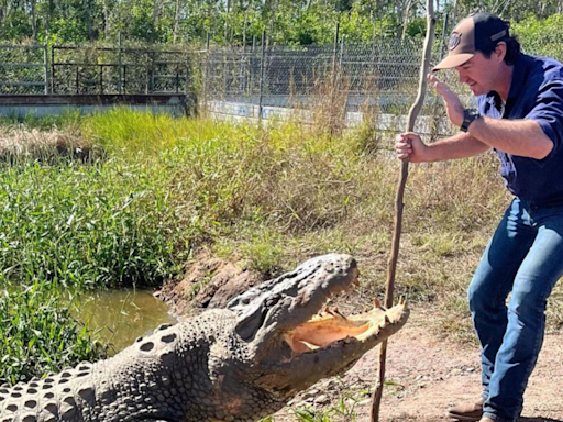 Matt Wright faces trial after chopper crash while collecting crocodile eggs claims friend’s life - Times of India