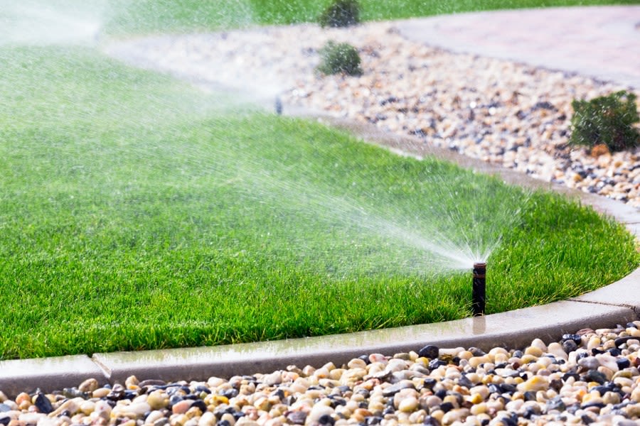 How to keep lawns and gardens healthy during severe heat