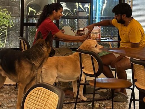 Pet cafe culture catches up in Lucknow