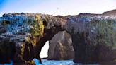 This Kayaking Tour in California's Channel Islands National Park Includes Visits to Sea Caves and Endemic Animal Sightings