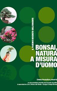 Bonsai, natura a misura d'uomo