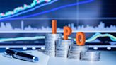 Sanstar IPO subscribed 10x on Day 2 so far; HNI portion booked over 23 times