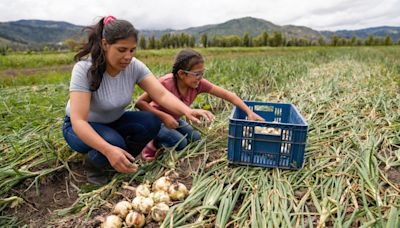 En Boyacá cerca de 1,333 agricultores se han visto damnificados por la ola invernal